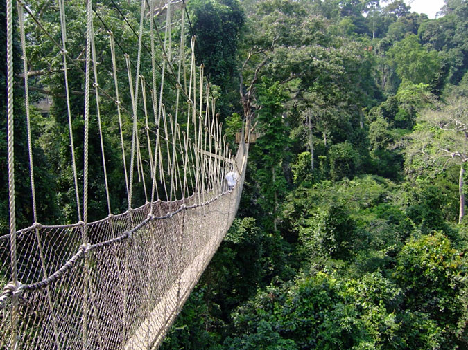 Rope bridge